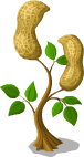Choco Woods