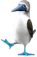 https://upportal.wavecdn.net/misc/images/mfz/blue_footed_booby_130x200.png