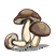 https://upportal.wavecdn.net/misc/images/mlf/mday2018mlf_wood_mushroom.png